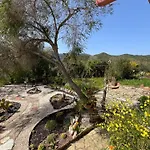 Gardenrocks *